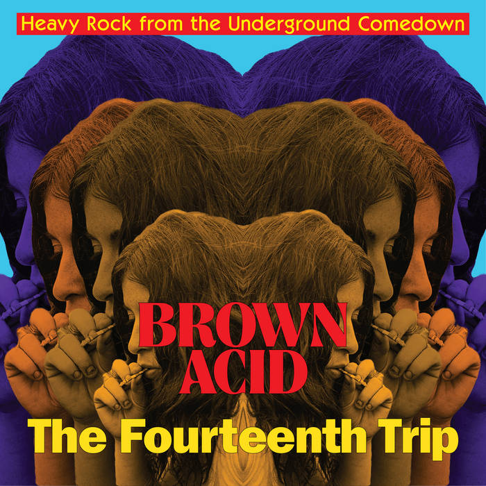 VARIOUS 'Brown Acid: The Fourteenth Trip (Heavy Rock From The Underground Comedown)' LP