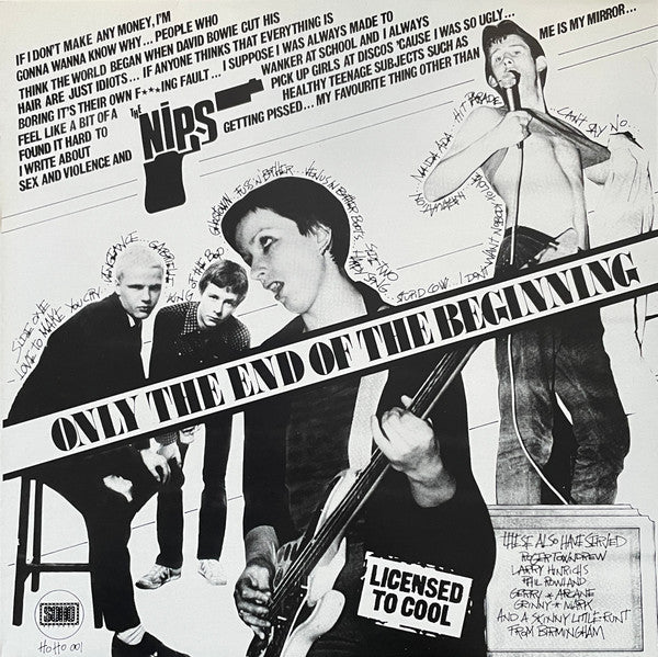 THE NIPS ‘Only The End of The Beginning’ LP (2001 UK RE)