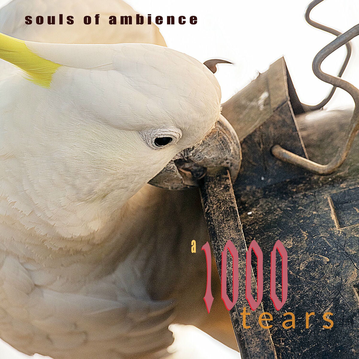 SOULS OF AMBIENCE 'A 1000 Tears' LP