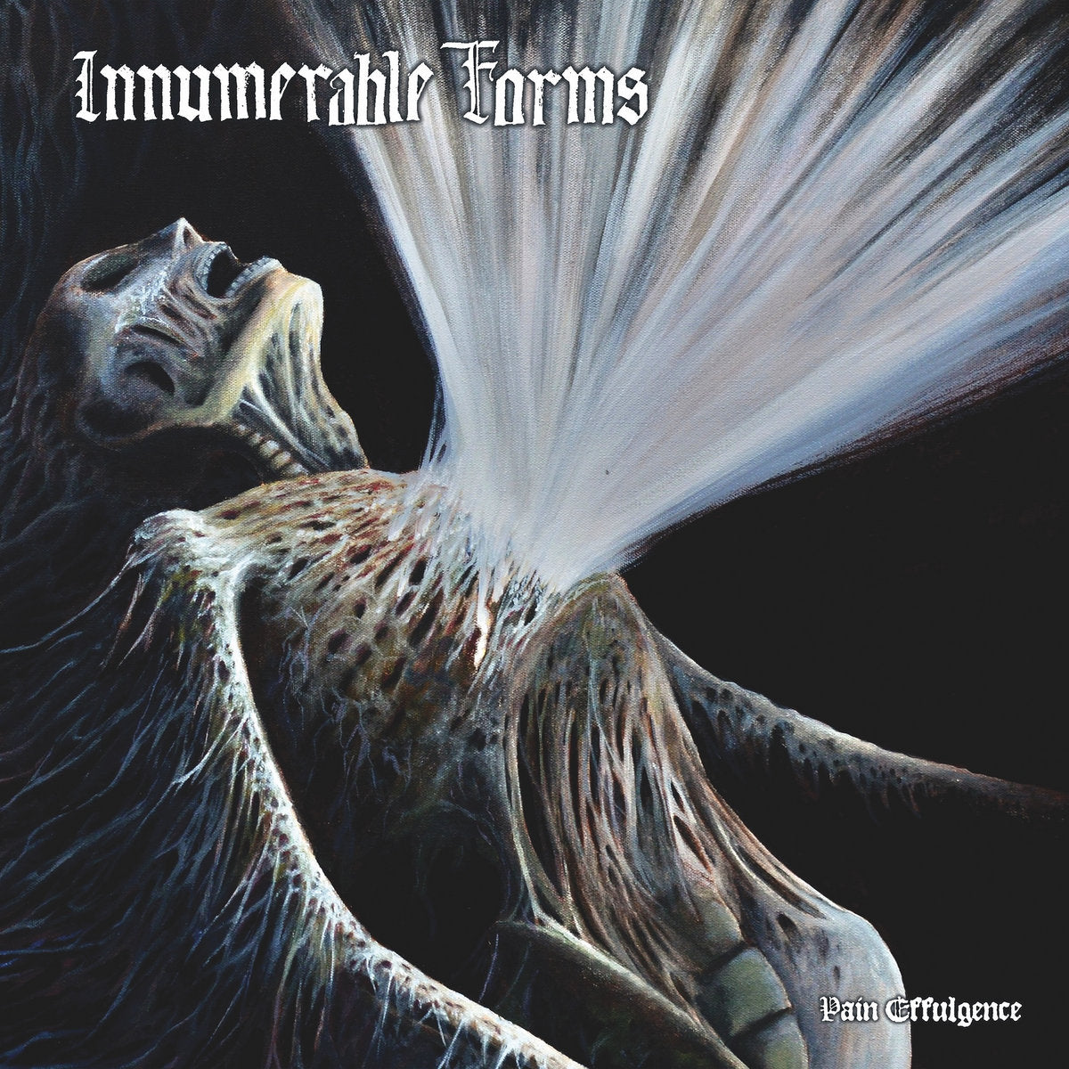 INNUMERABLE FORMS 'Pain Effulgence' LP