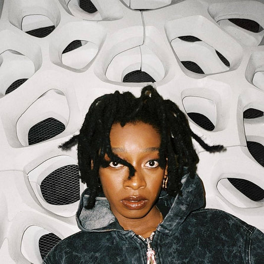 LITTLE SIMZ 'No Thank You' LP