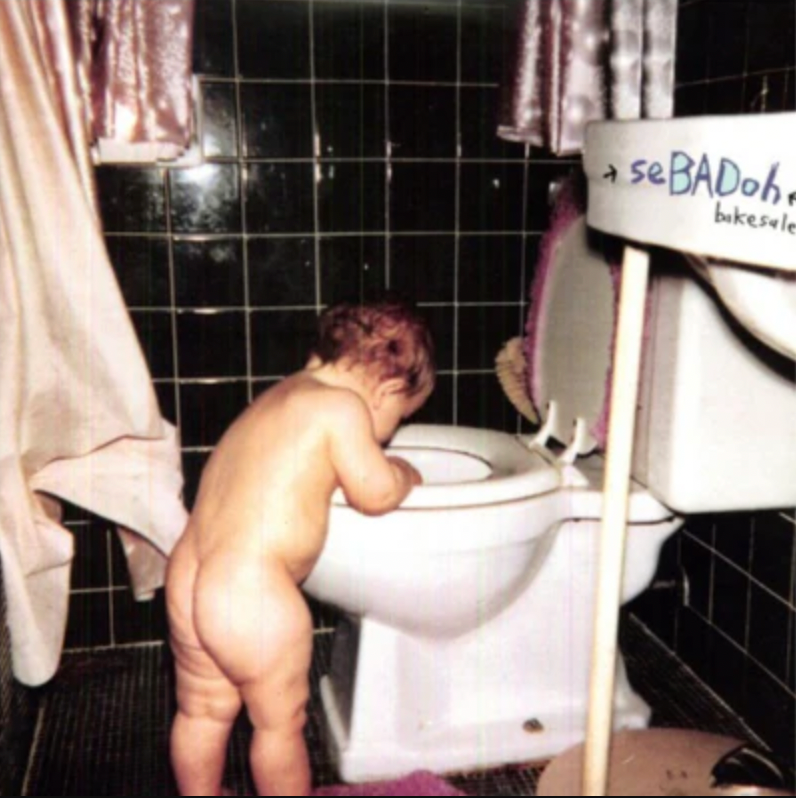 SEBADOH 'Bakesale' LP