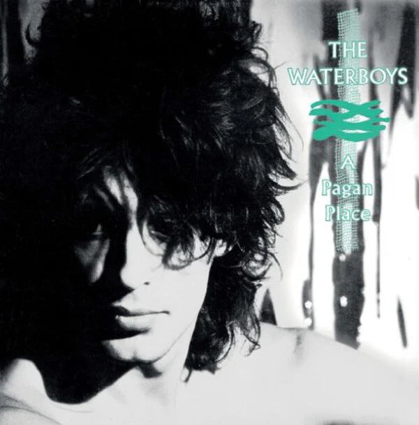 THE WATERBOYS ‘A Pagan Place’ LP (1984 OG UK)