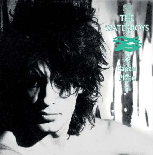 THE WATERBOYS ‘A Pagan Place’ LP (1984 OG UK)