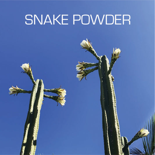 SNAKE POWDER 's/t' LP