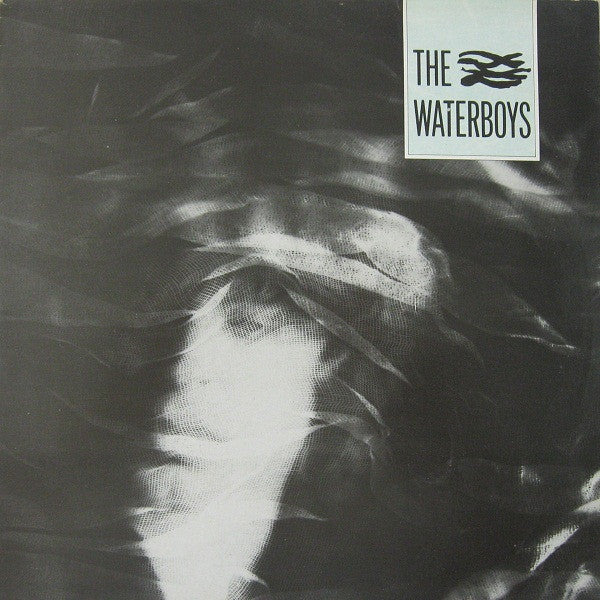 THE WATERBOYS 's/t' LP